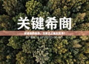 曼城连胜告急，王座之上谁主沉浮？