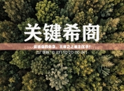 曼城连胜告急，王座之上谁主沉浮？