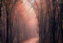 伯纳乌的火焰：皇马火力全开，战术稳定铸就王朝