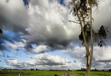 福建队内讧事件引发球迷热议