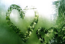 福建队内讧事件引发球迷热议