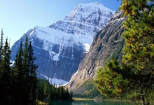 摇曳的红酒之魂：波尔多未来不确定，球迷忧心忡忡