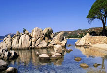 伯纳乌的火焰：皇马火力全开，战术稳定铸就王朝